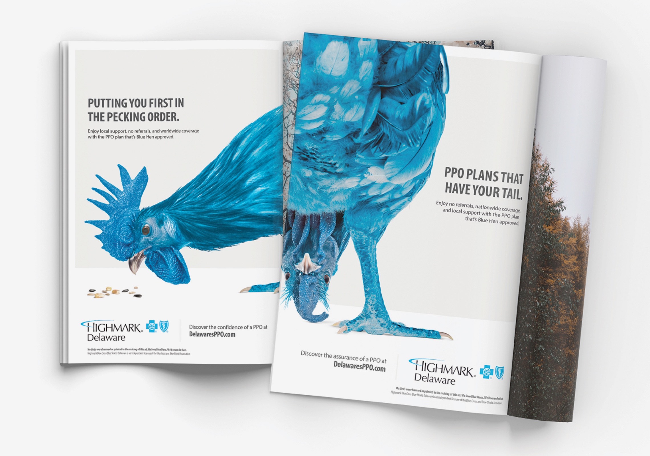 Photograph of two blue hen advertisements in magazines.